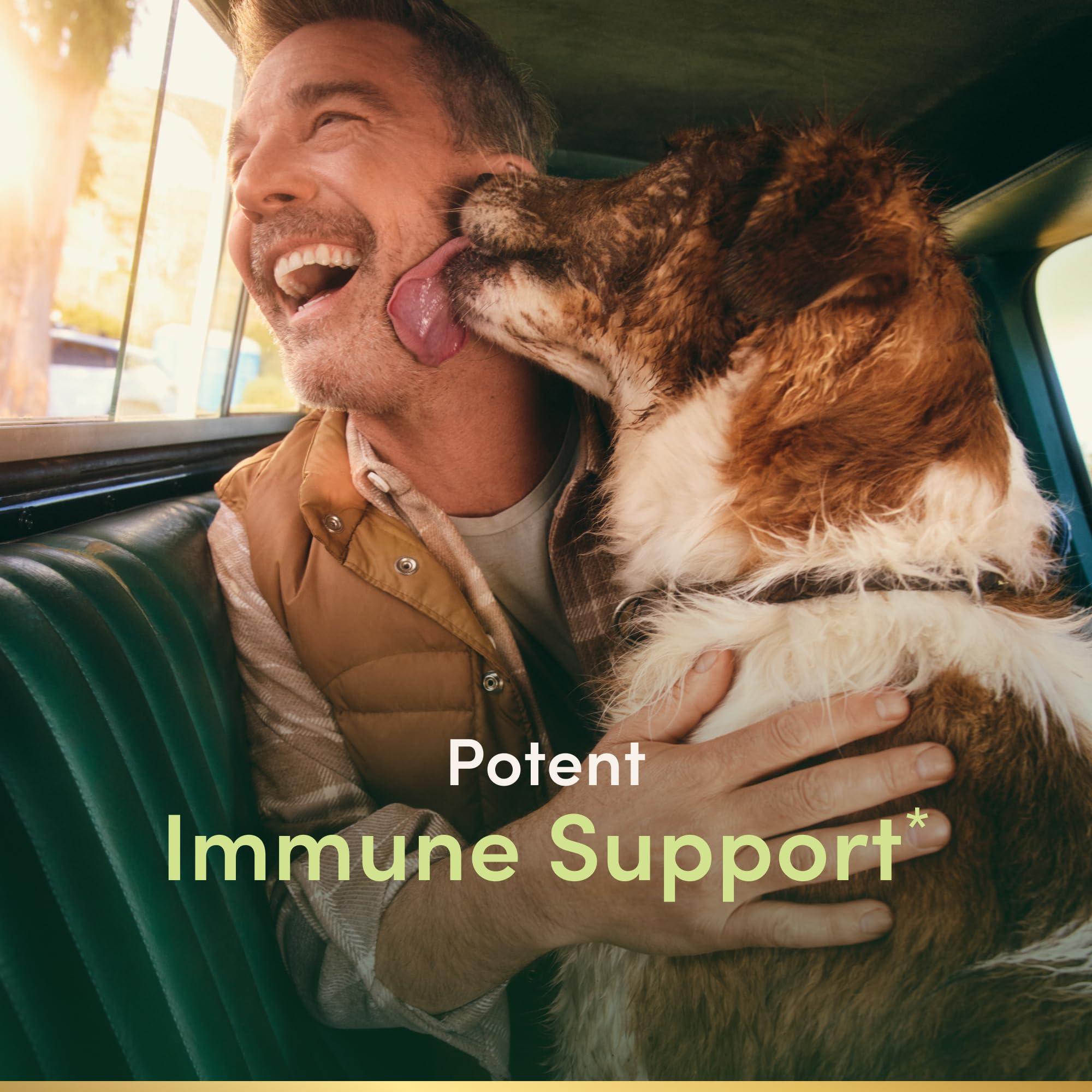 Nature's Bounty Quercetin capsules close-up for easy daily immune support