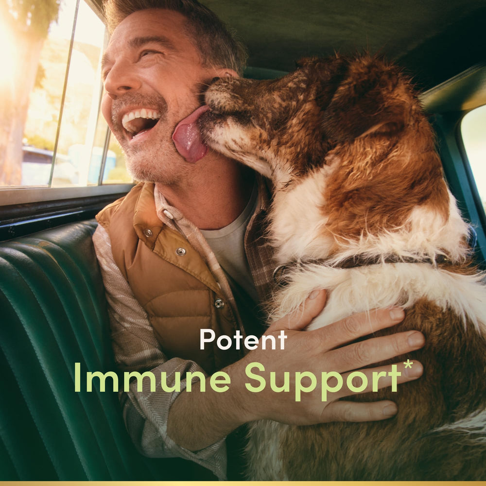 Nature's Bounty Quercetin capsules close-up for easy daily immune support