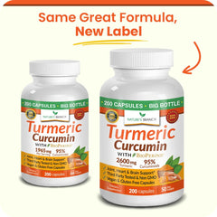Nature's Branch Organic Turmeric Powder pack emphasizing antioxidant-rich root