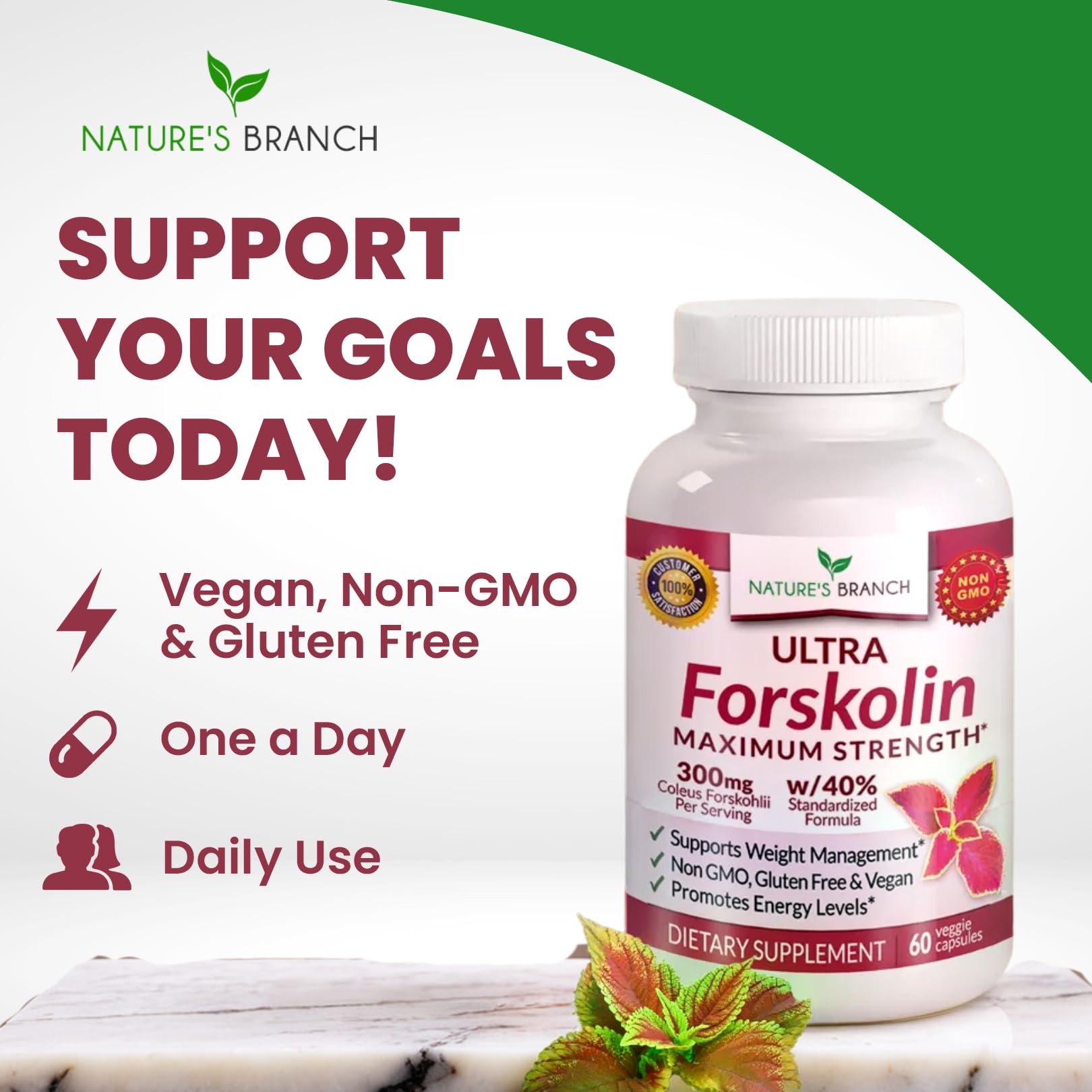USA-made stamp on Nature's Branch Forskolin bottle ensures quality.