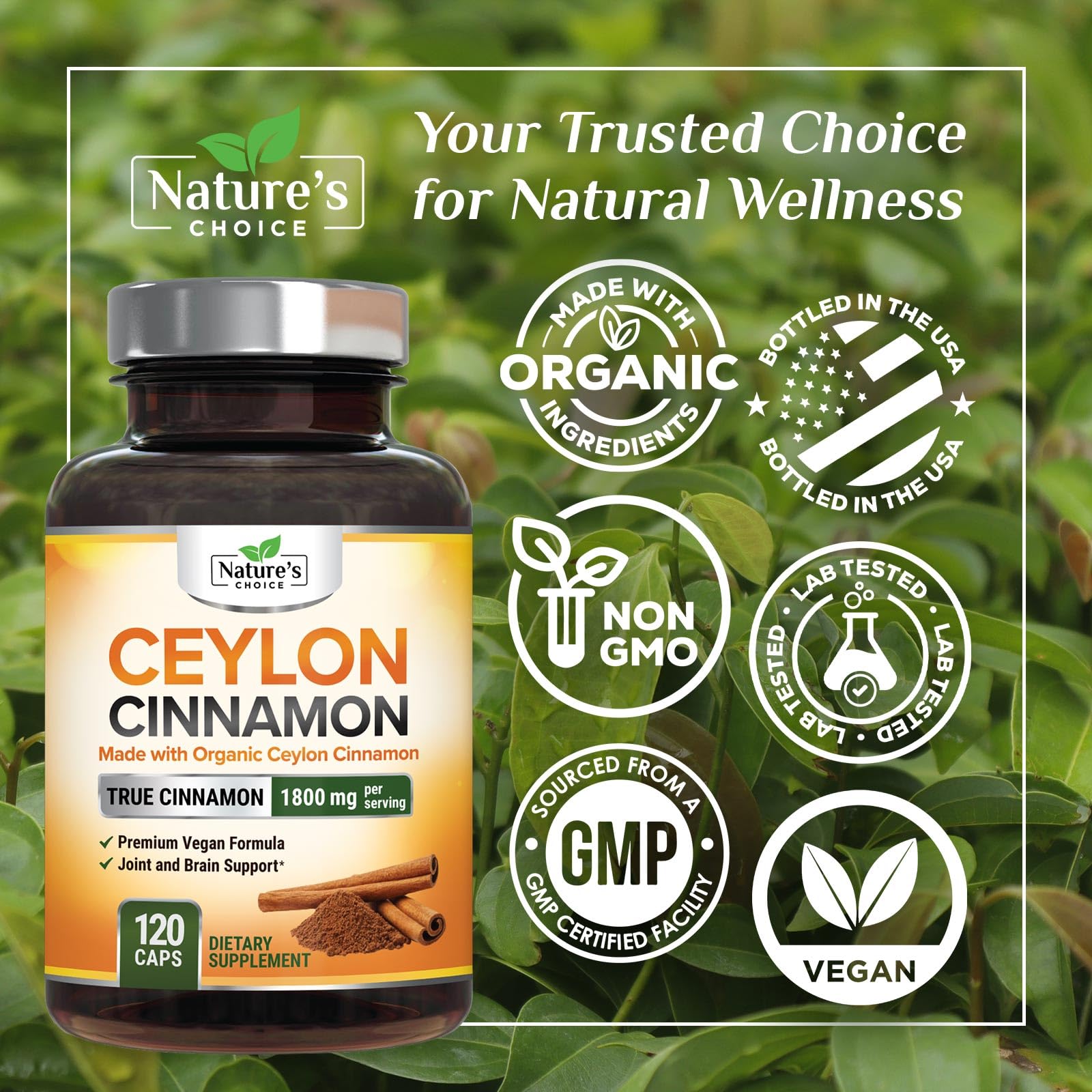 Nature's Choice Ceylon Cinnamon Capsules bottle showcases non-GMO vegan formula