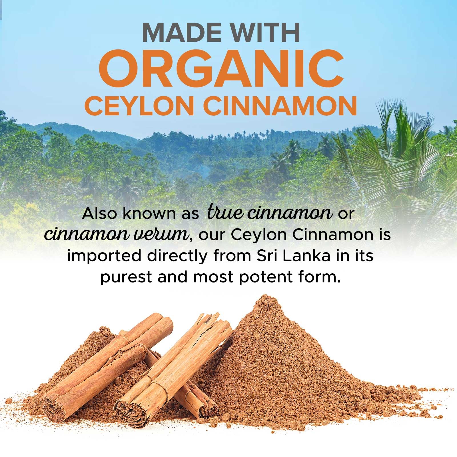 Nature's Choice Cinnamon capsules USA bottling seal signals purity and quality