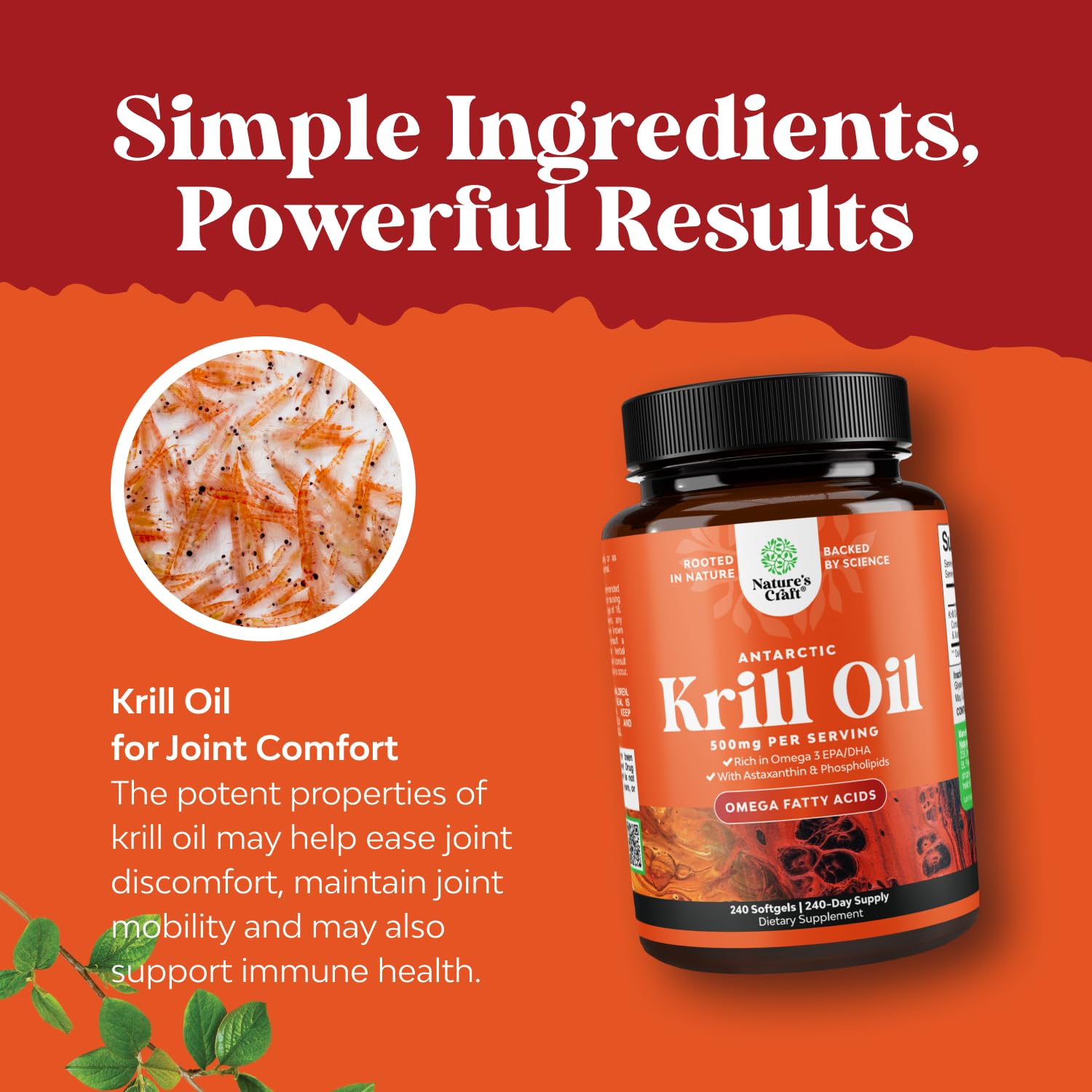 Krill oil may support brain health and cognitive wellness.