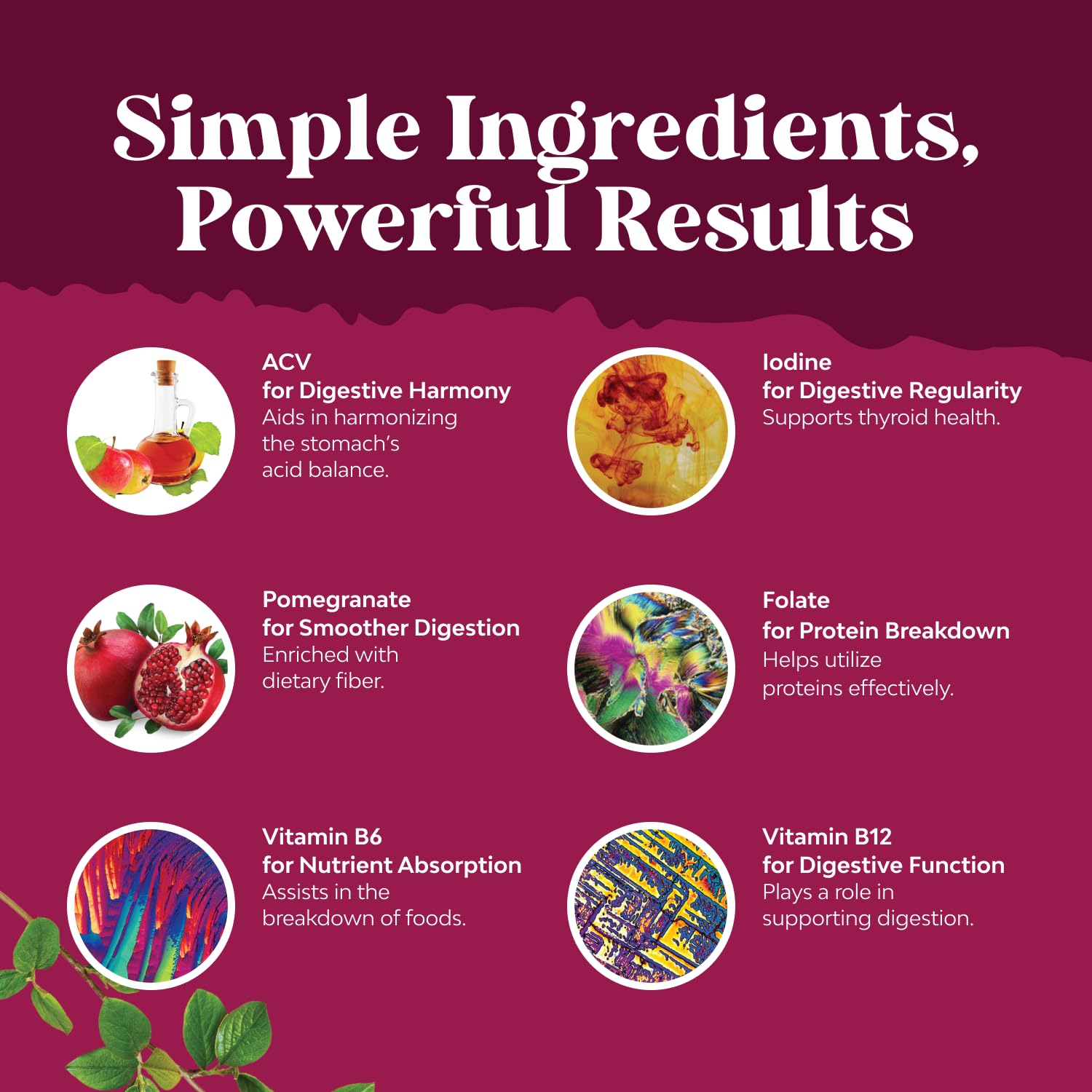 Nature's Craft vegan ACV gummies suitable for daily gut health