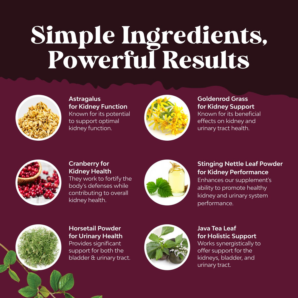 Natures Craft Kidney Cleanse Astragalus image highlights holistic kidney support.