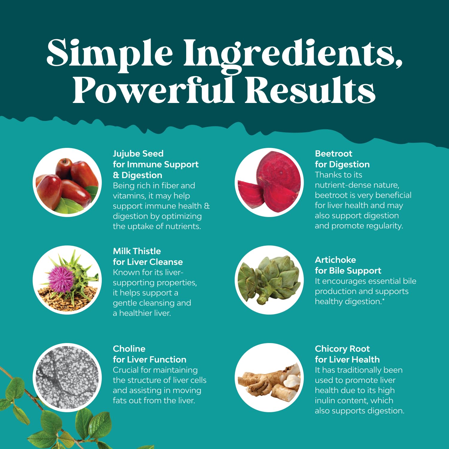 Natures Craft Beetroot ingredient in liver formula
