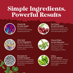 Natures Craft celery seed capsules beside glass of water for kidney detox.