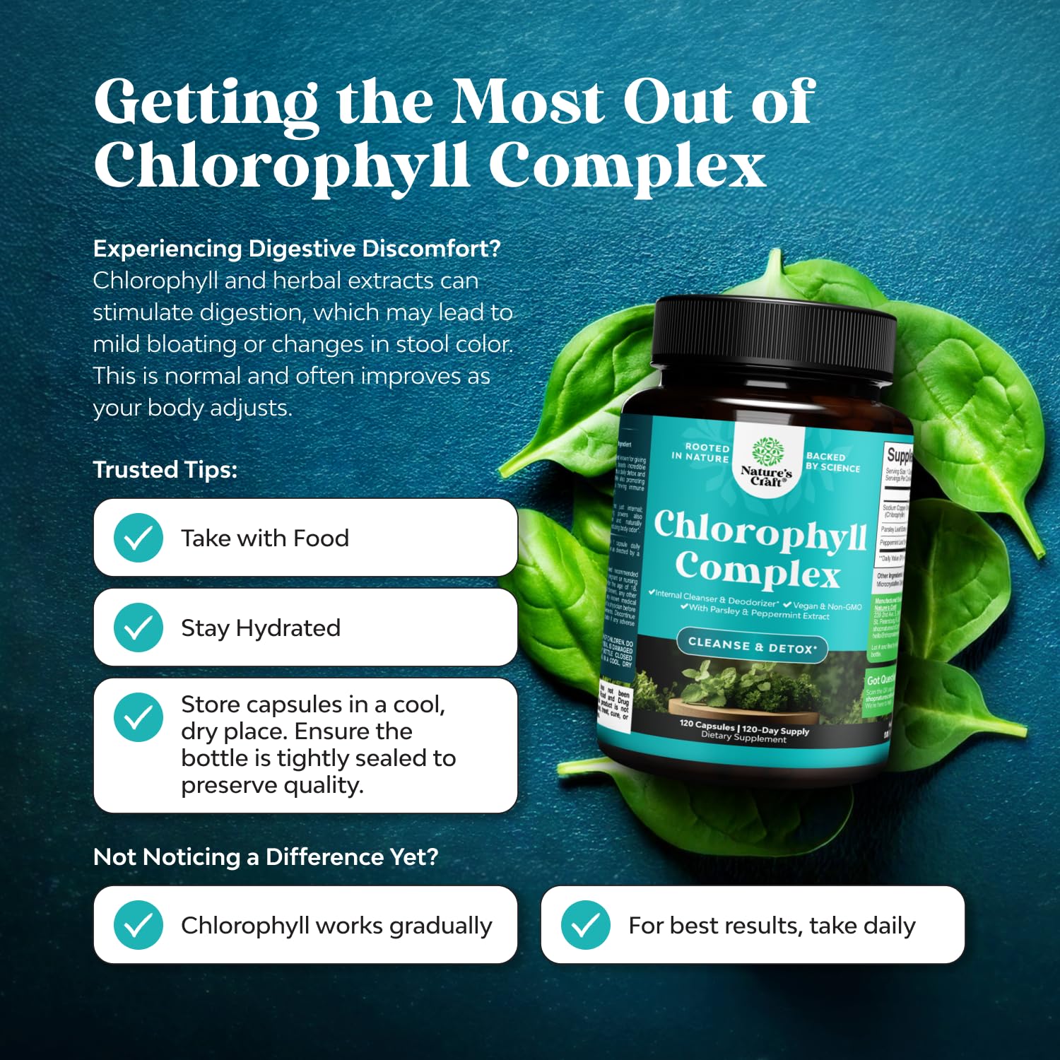 Chlorophyll capsules with fresh mint leaves signaling digestive support and freshness
