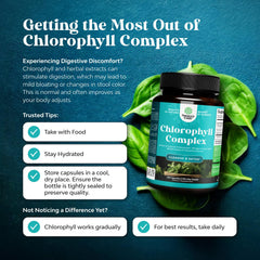 Chlorophyll capsules with fresh mint leaves signaling digestive support and freshness