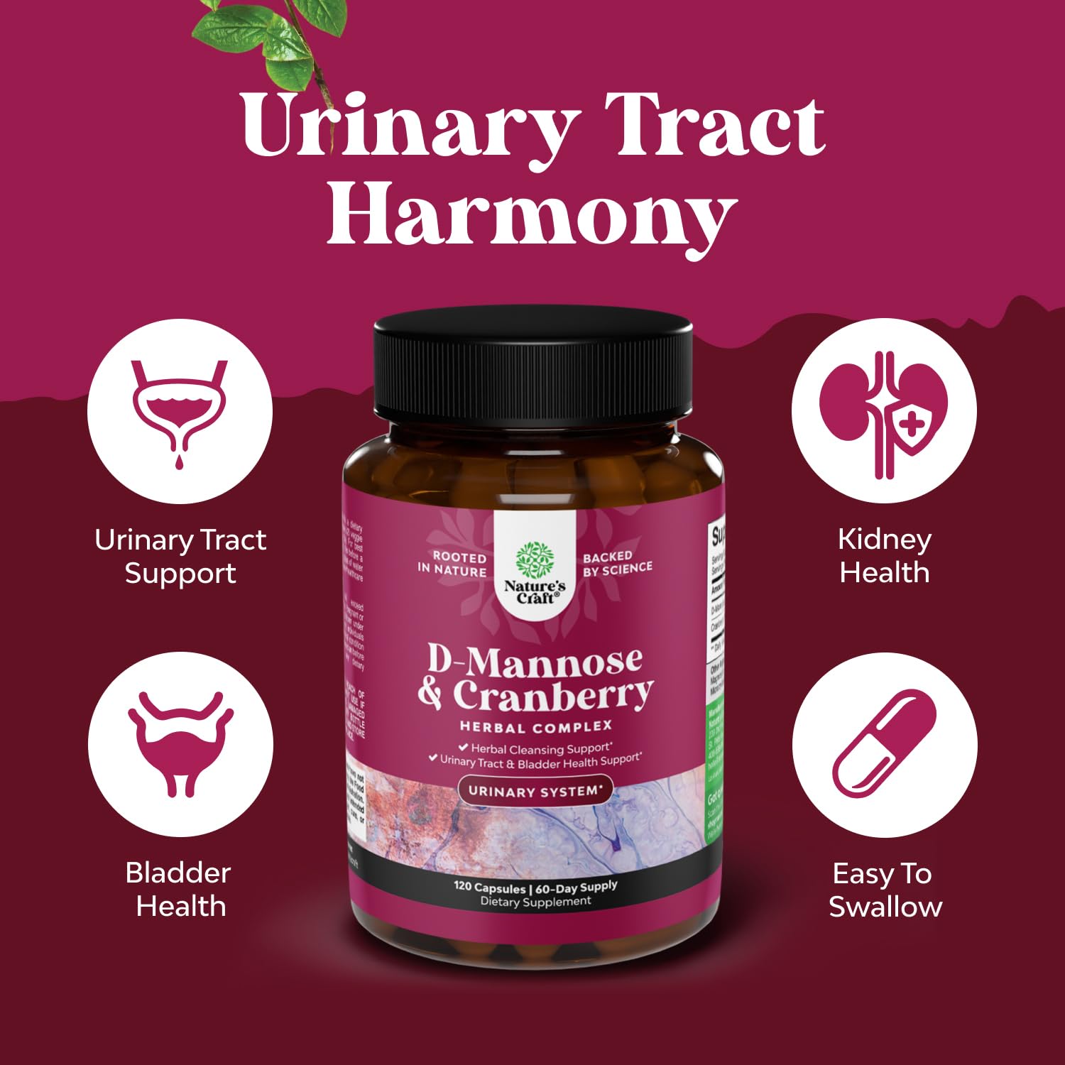 Cranberry extract capsules from Natures Craft highlighting bladder support potential