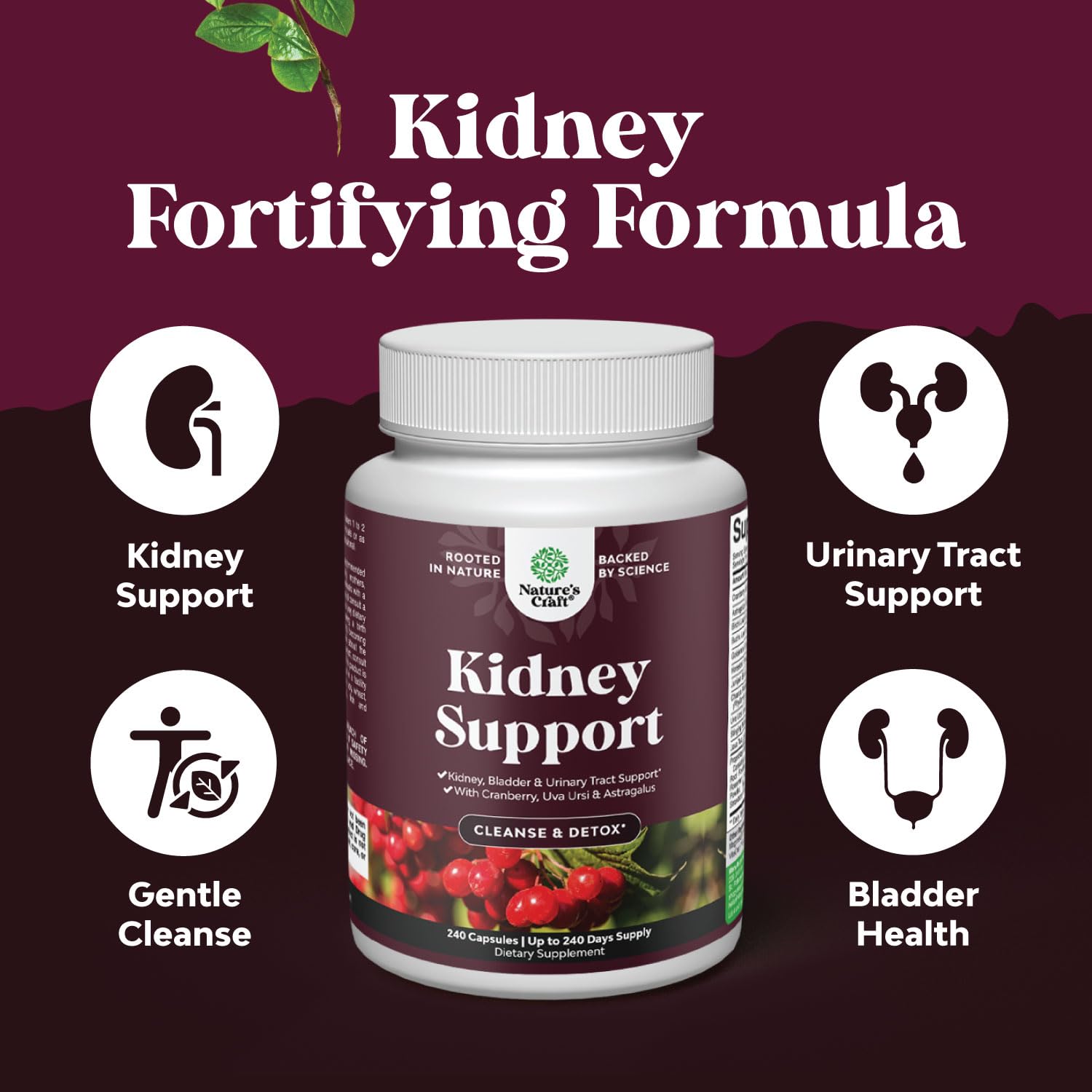 Natures Craft Cranberry Extract Kidney Blend showcases natural support for kidney function.
