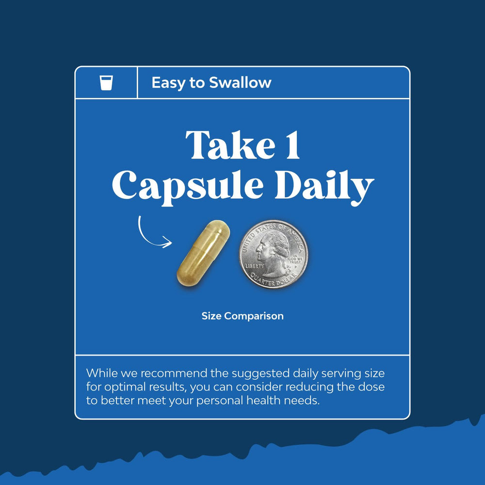 Capsules arranged neatly, suggesting an easy, everyday daily ritual.