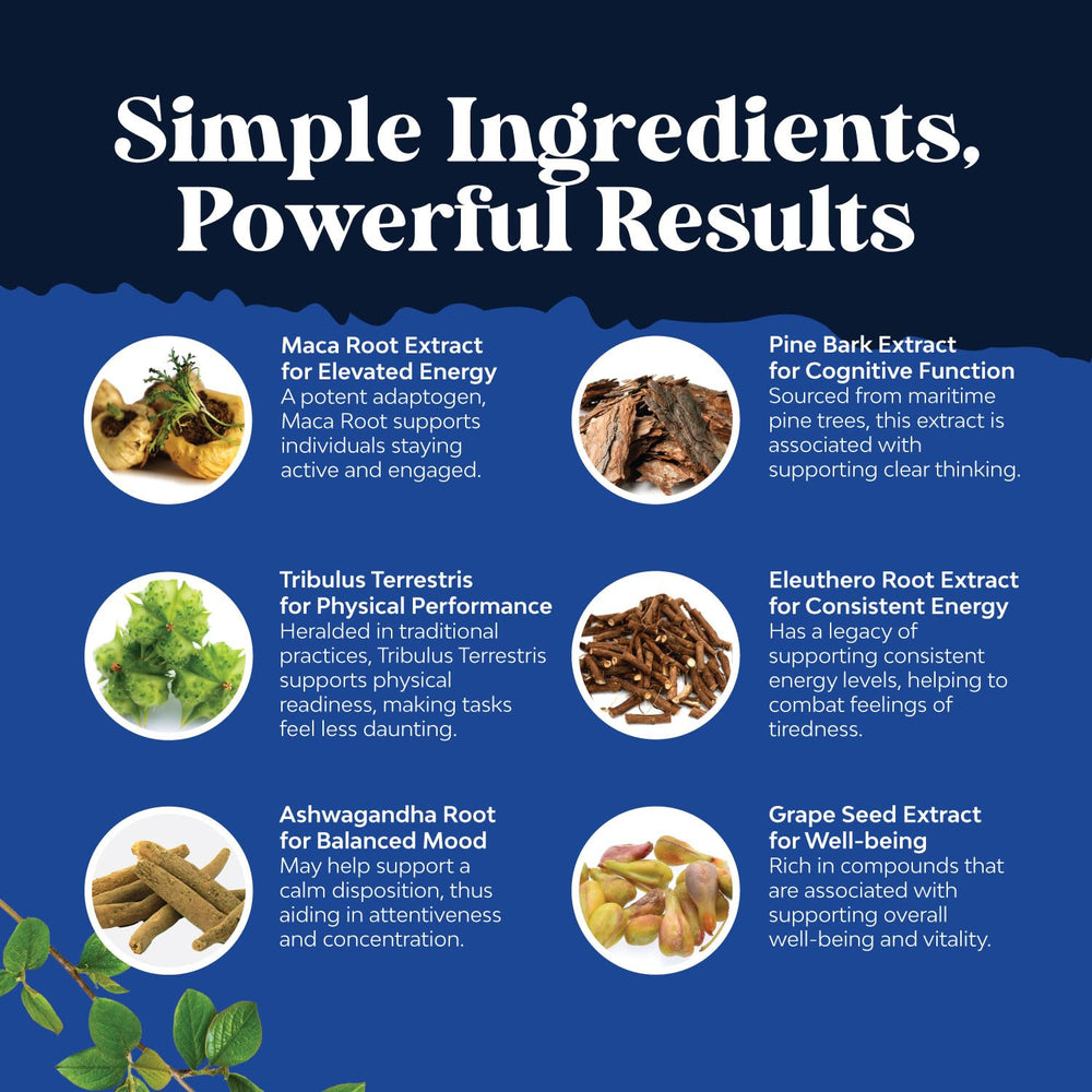 Nature's Craft Eleuthero root capsules for steady energy.