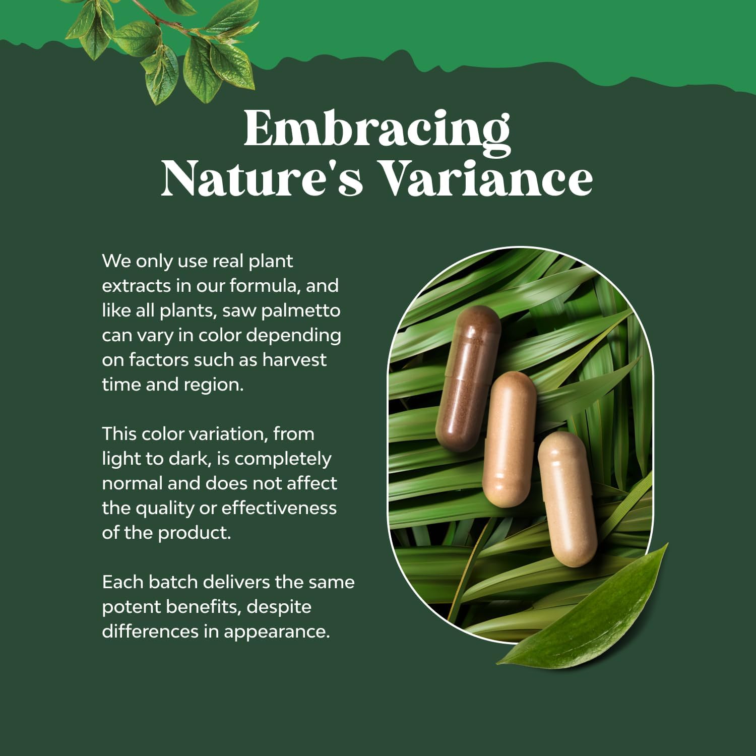 Natures Craft Saw Palmetto label highlights premium herbal ingredients for daily wellness.