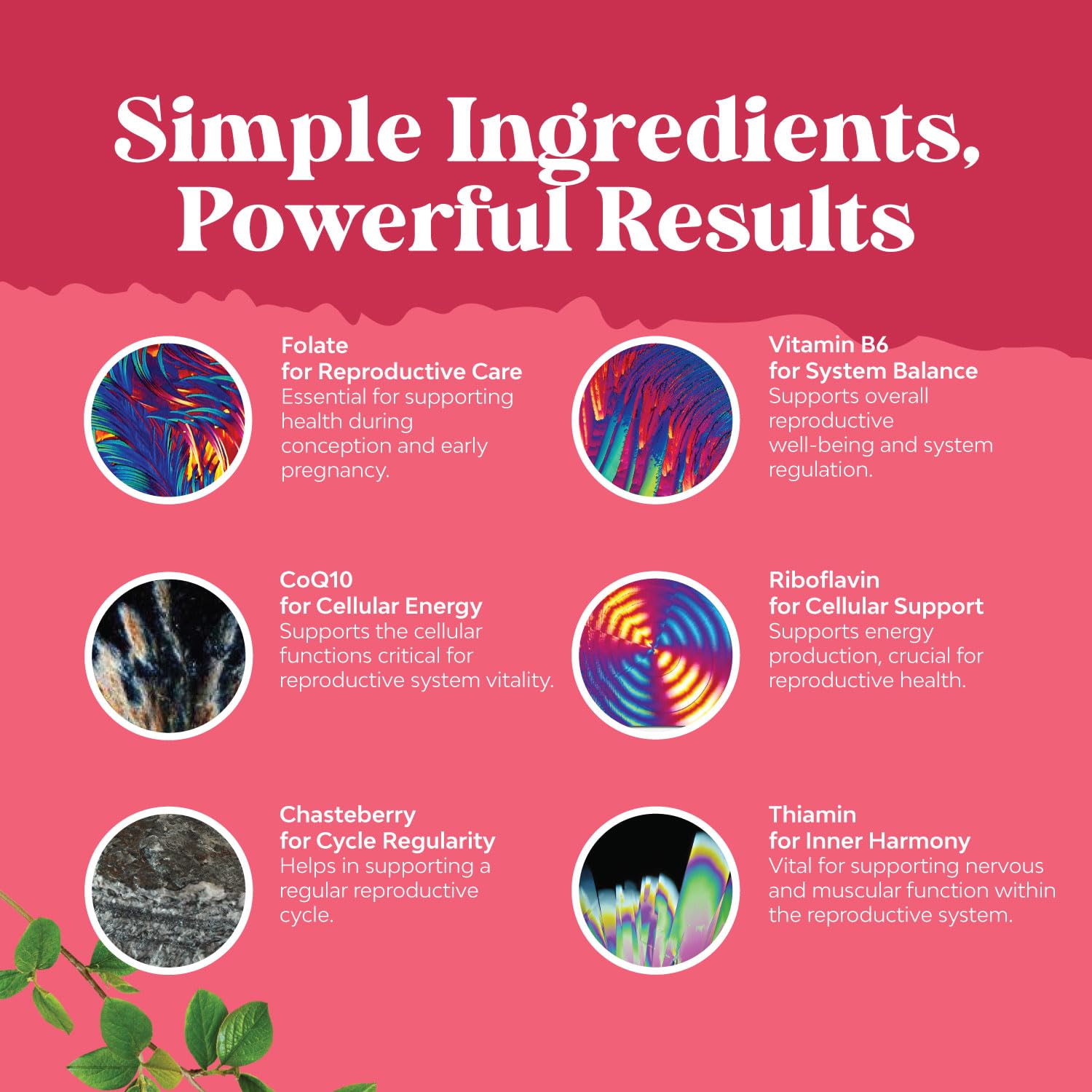 Front packaging shot featuring clear branding and nutrient-rich formula.