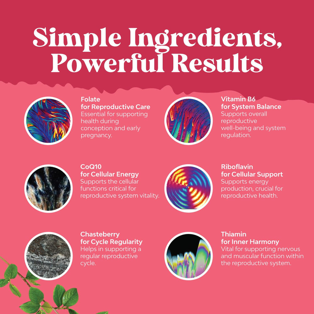 Front packaging shot featuring clear branding and nutrient-rich formula.