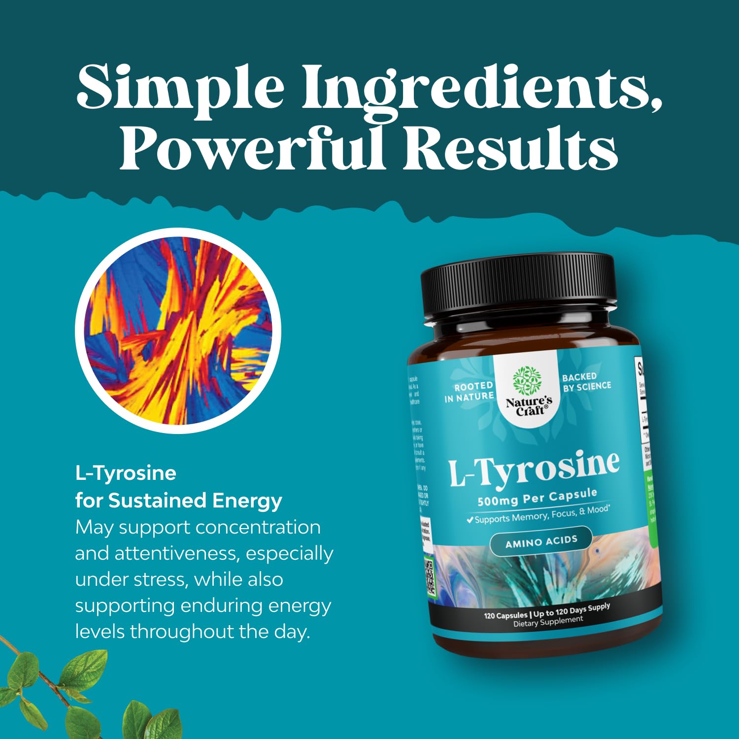 Nature's Craft mood and focus label scene demonstrates versatile use in study.