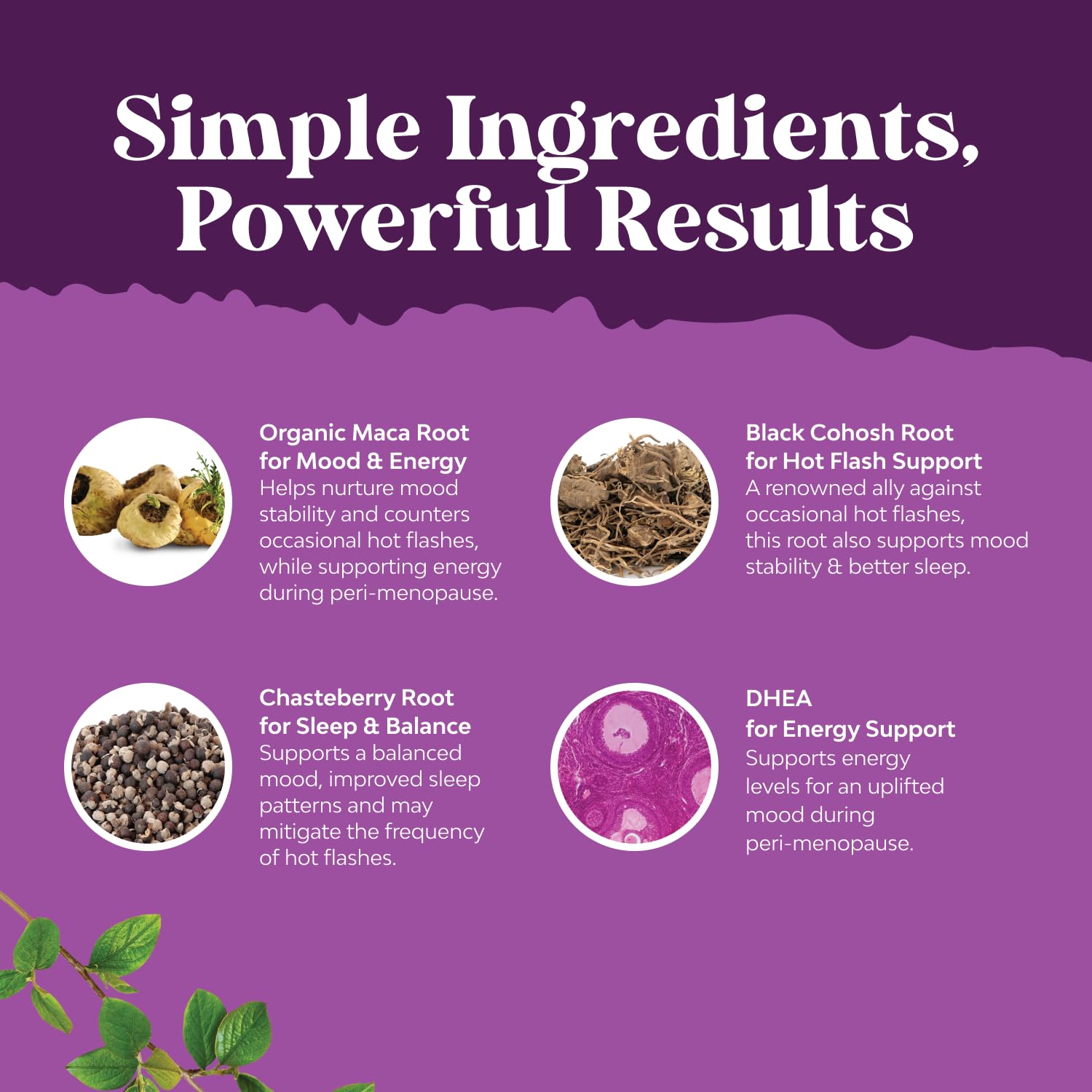 Nature's Craft ingredients label close-up showcasing herbal botanicals