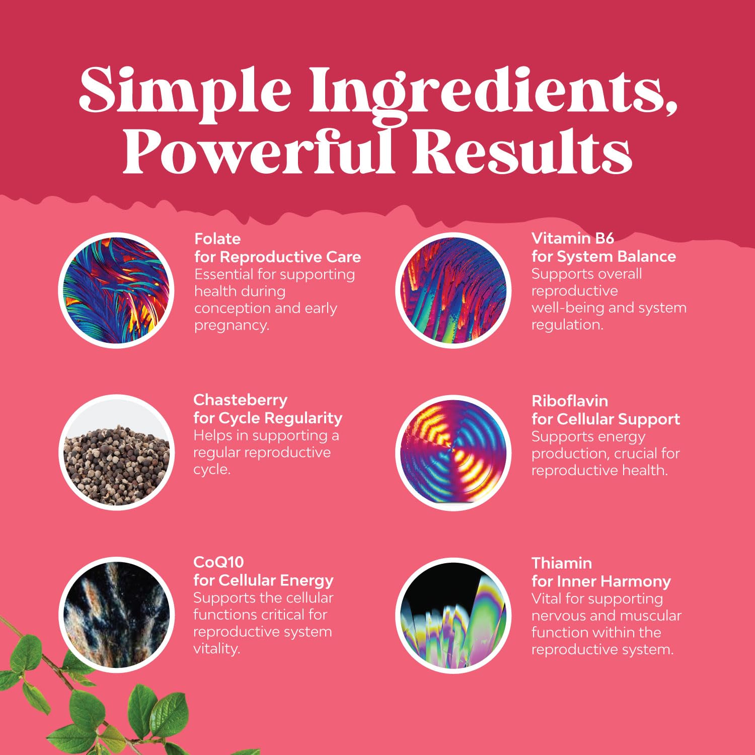 Natures Craft iron calcium B vitamins for nutrient coverage.