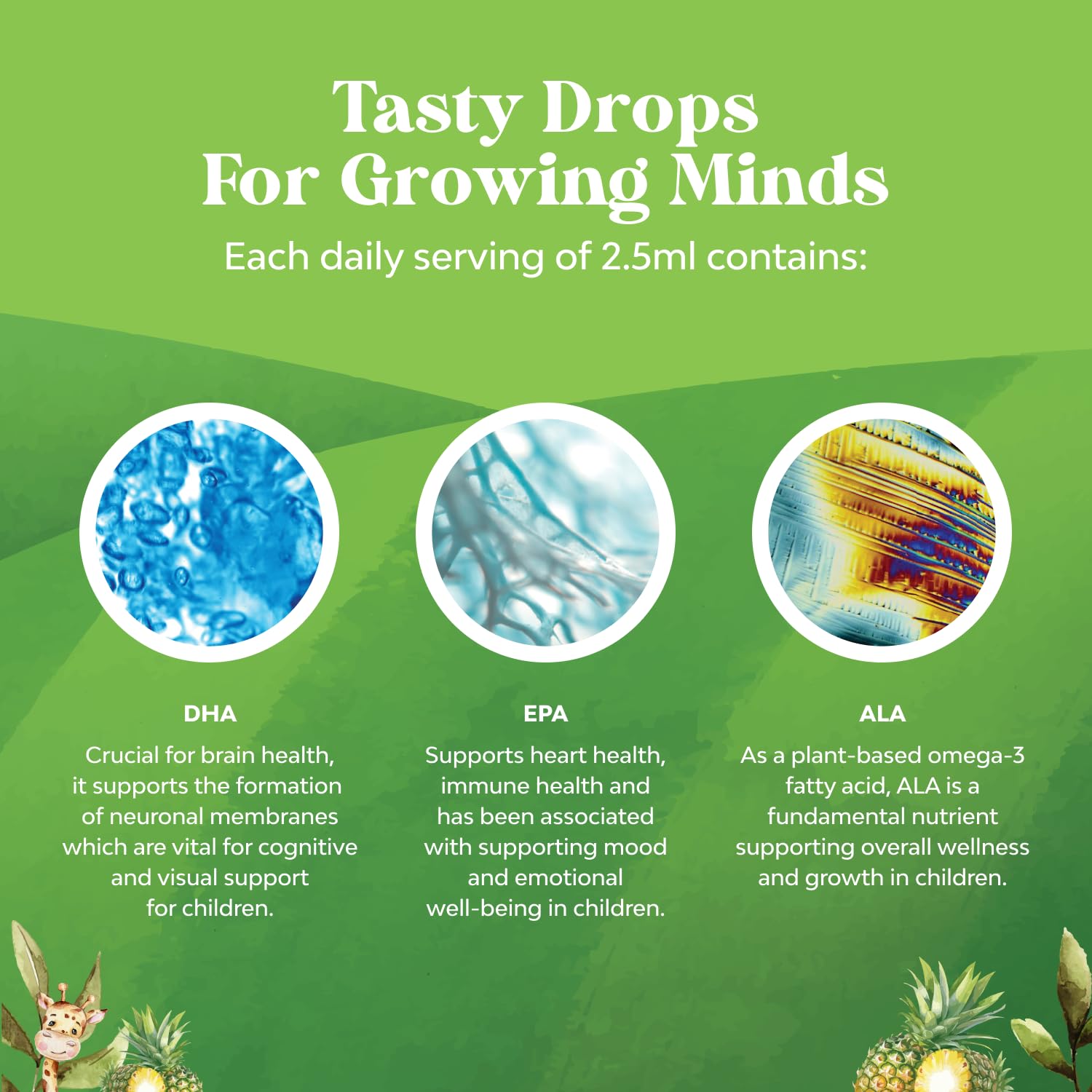 Natures Craft Kids DHA Omega 3 Drops non-GMO and allergen-free