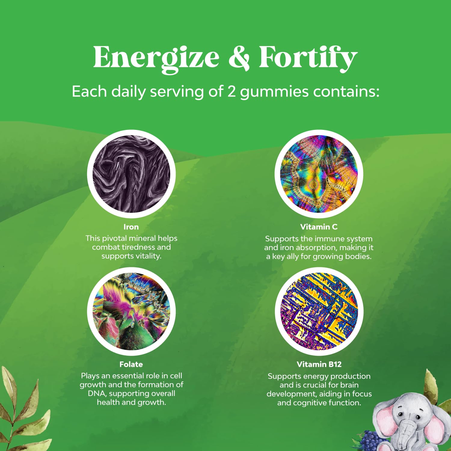Natures Craft Kids Iron Gummies ingredient-icons feature vitamin C and B vitamins.