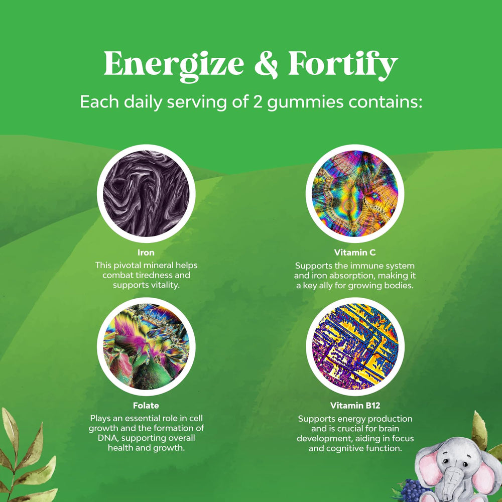 Natures Craft Kids Iron Gummies ingredient-icons feature vitamin C and B vitamins.