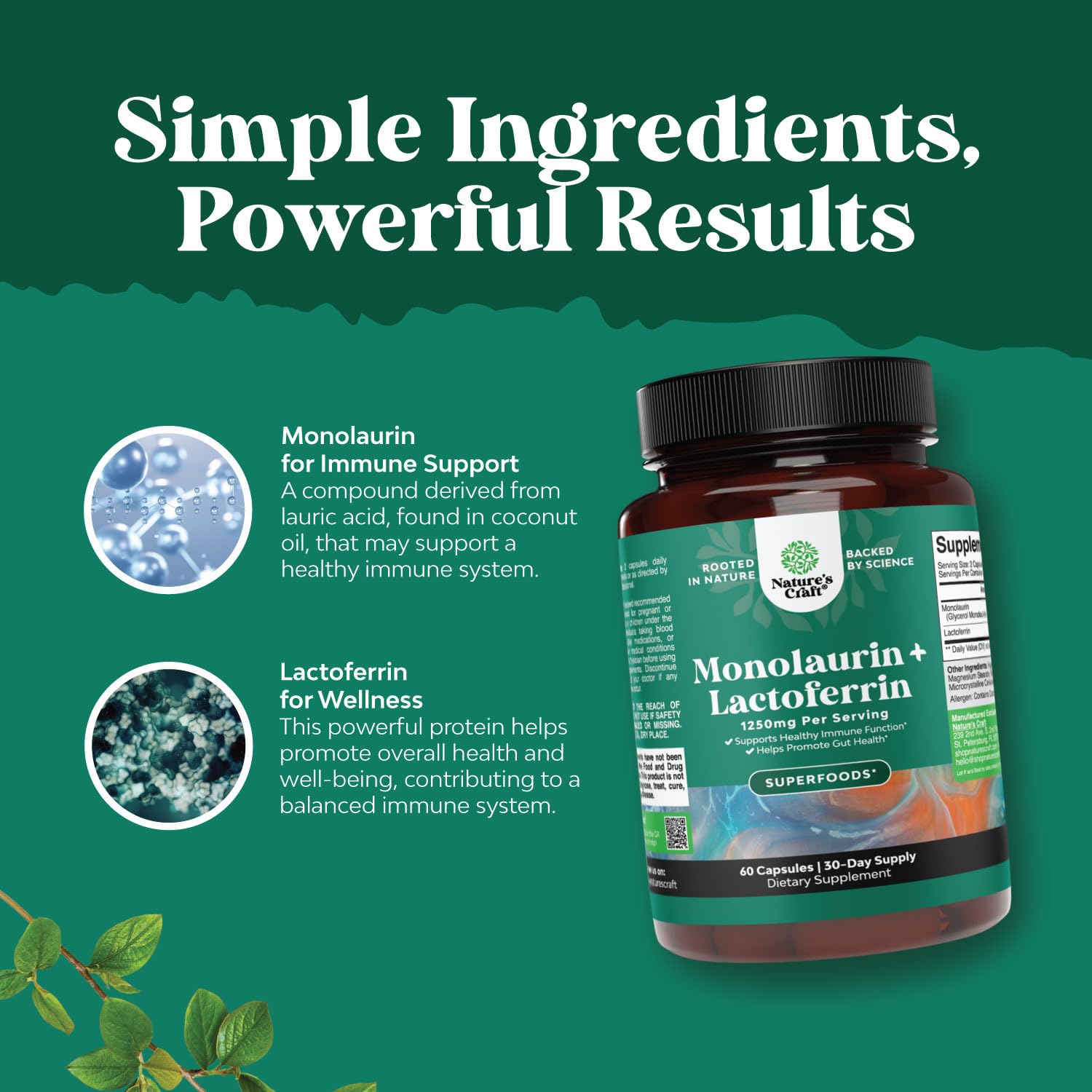 Natures Craft lactoferrin from freeze-dried milk image for immune support potential