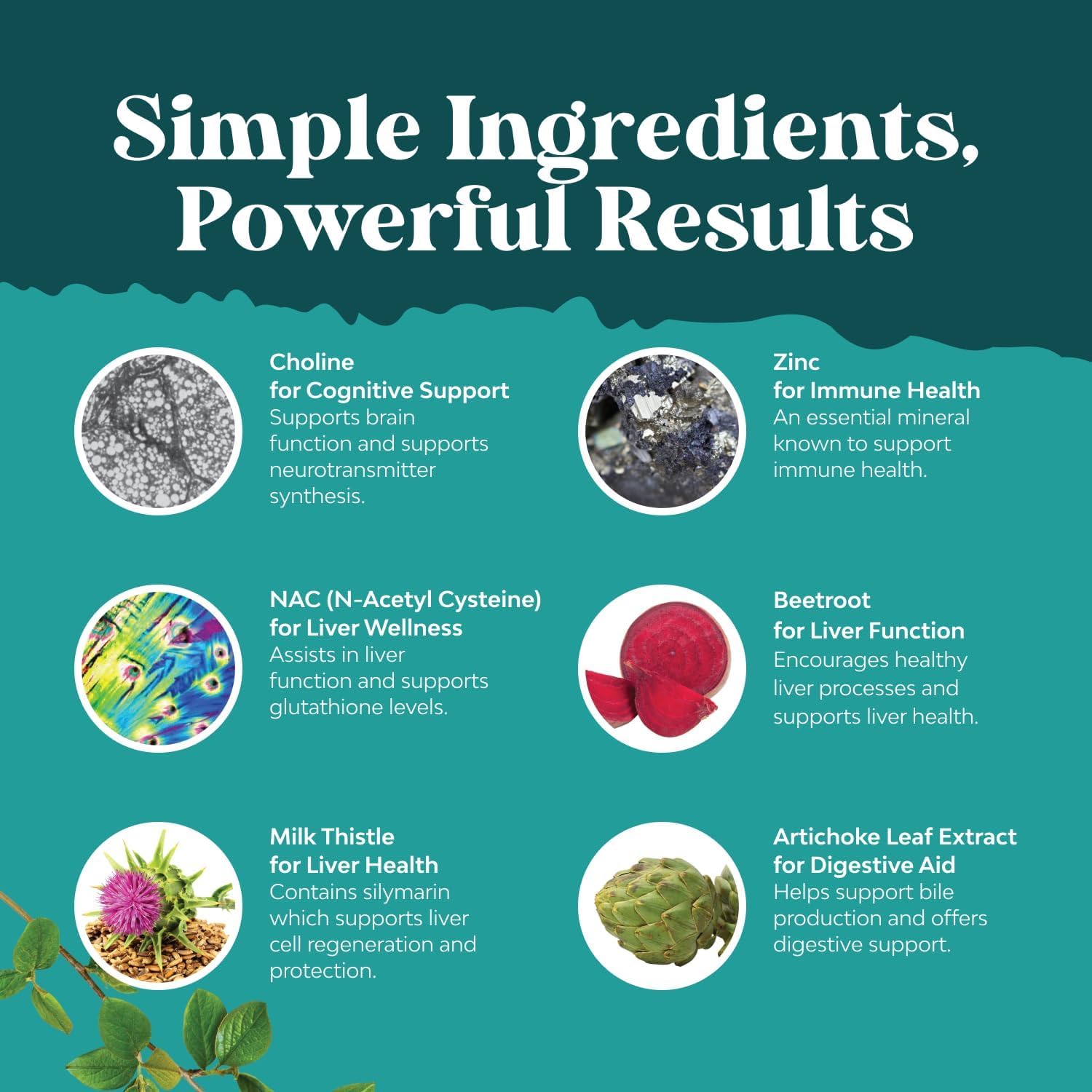 Natures Craft Liver Support NAC beetroot component for vibrant formula
