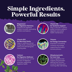 Natures Craft Milk Thistle extract capsules showcasing liver-friendly antioxidants.