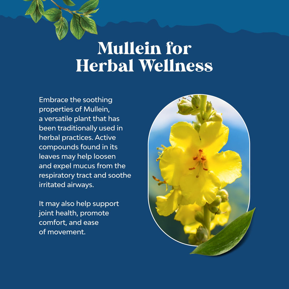 Natures Craft Mullein Drops ingredients list includes marshmallow and plantain.