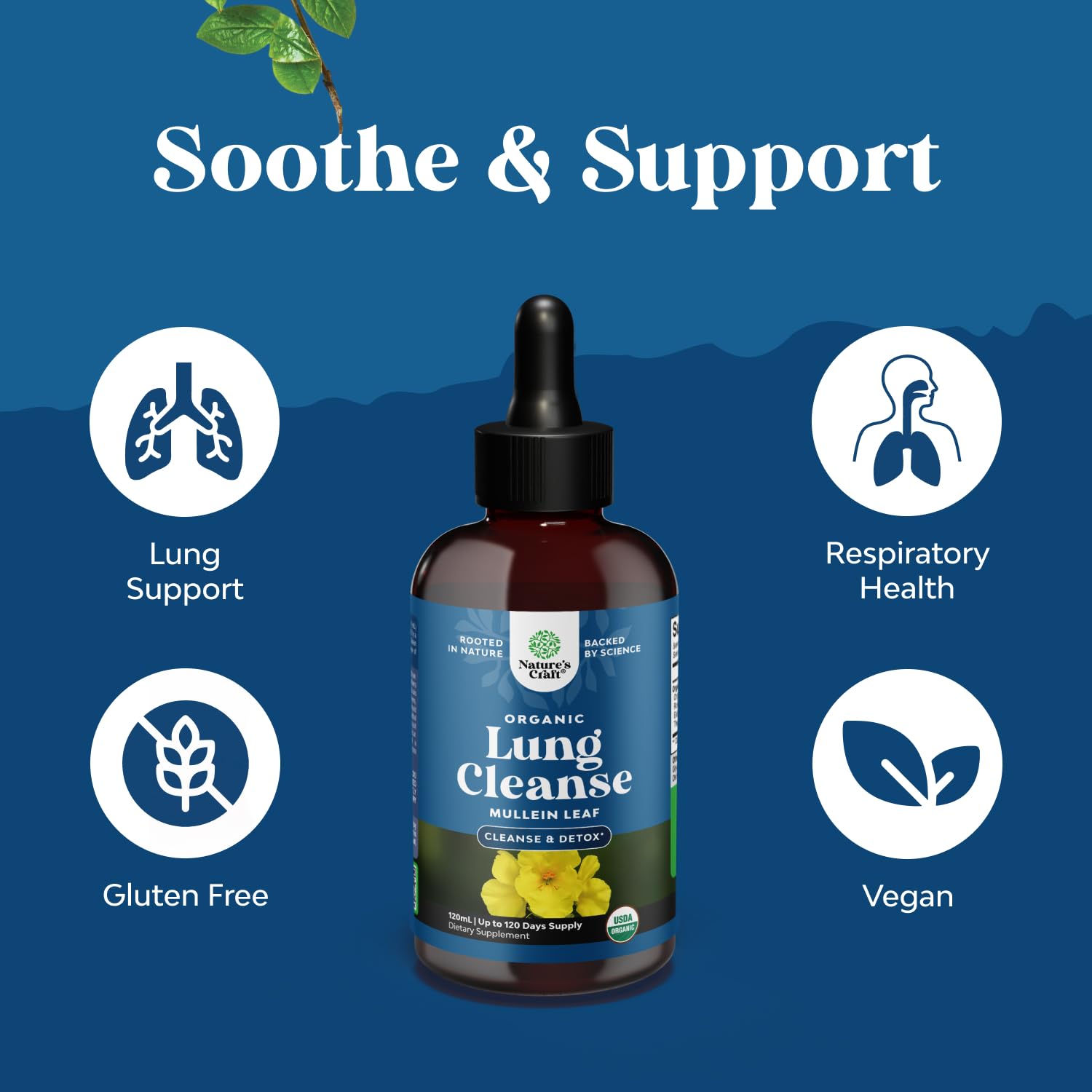 Natures Craft Mullein Drops usage directions simplify daily lung support.