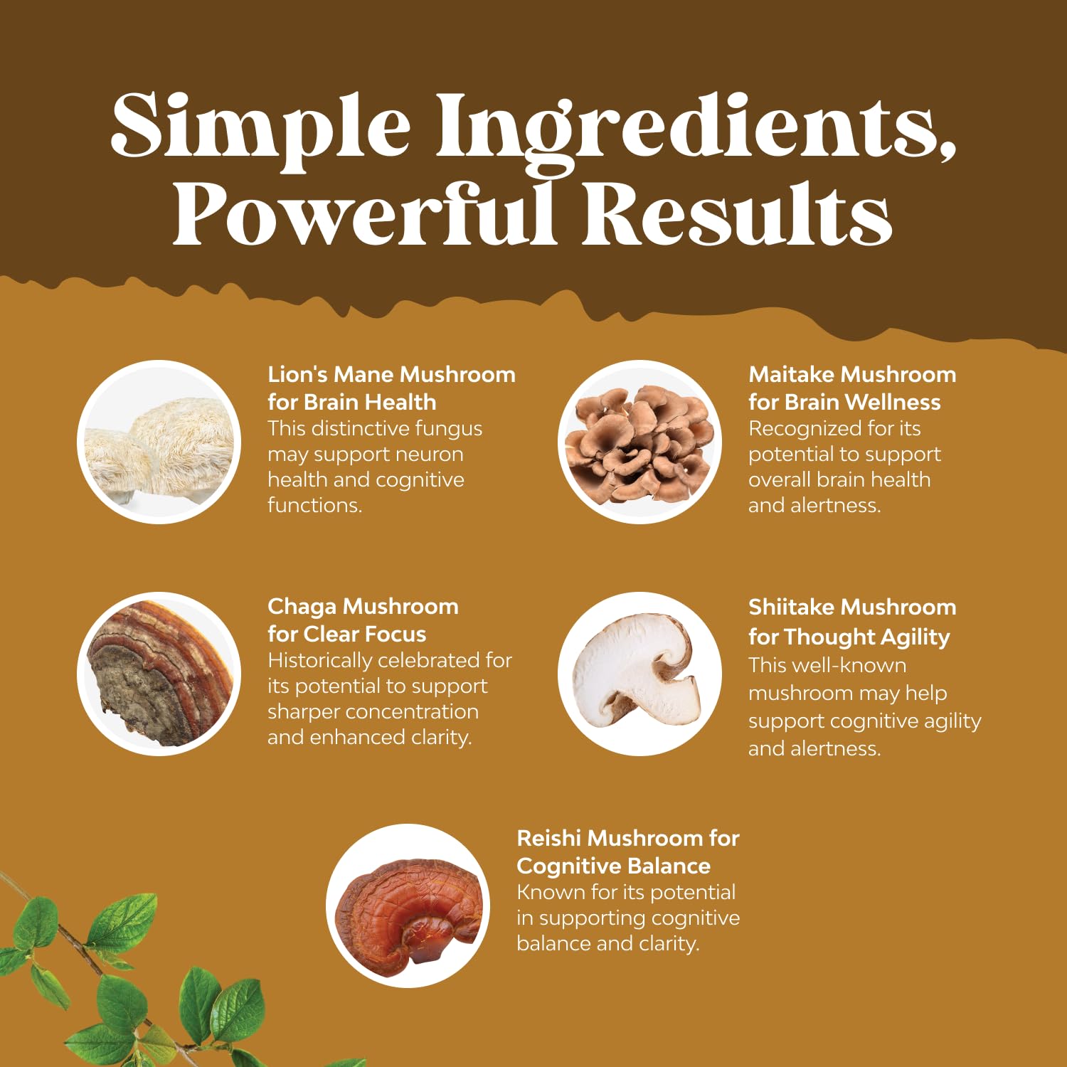 Natures Craft mushroom complex ingredients visuals on front label.