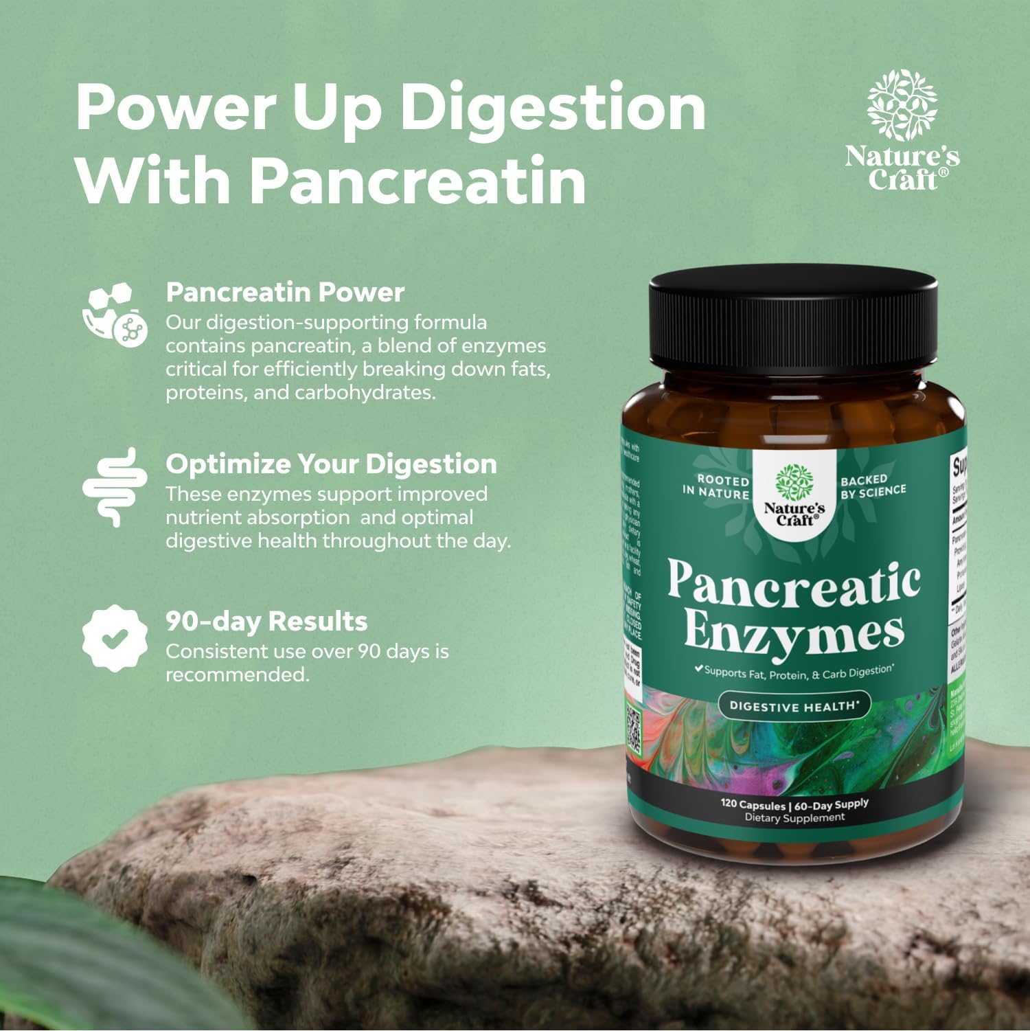 Amylase action from Natures Craft Pancreatin supporting starch digestion
