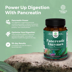 Amylase action from Natures Craft Pancreatin supporting starch digestion