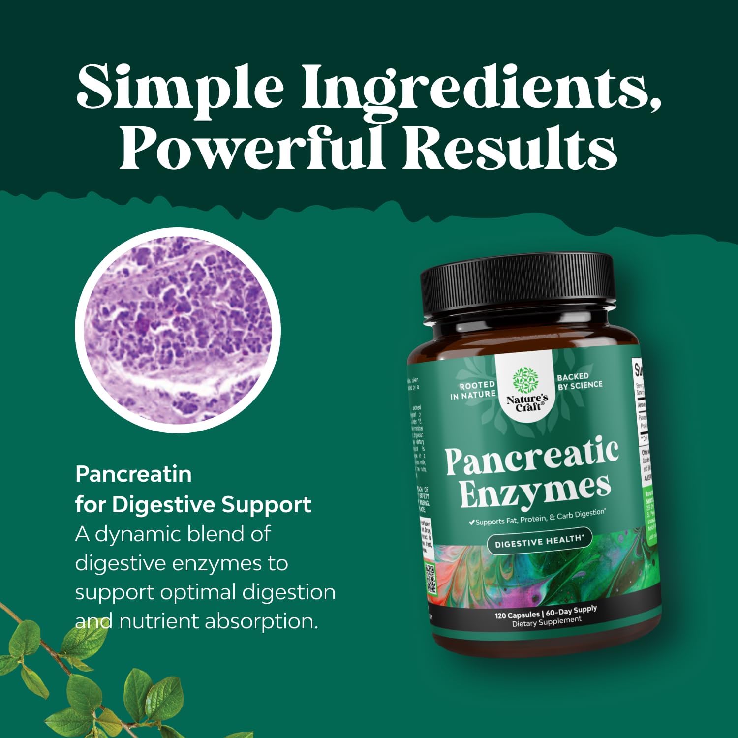Protease in Natures Craft Pancreatin assisting protein digestion after meals