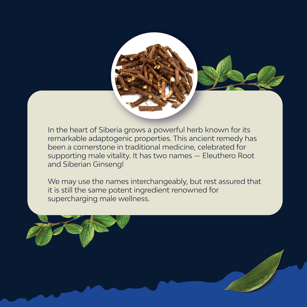 Nature's Craft Pine bark extract capsule with antioxidant profile.