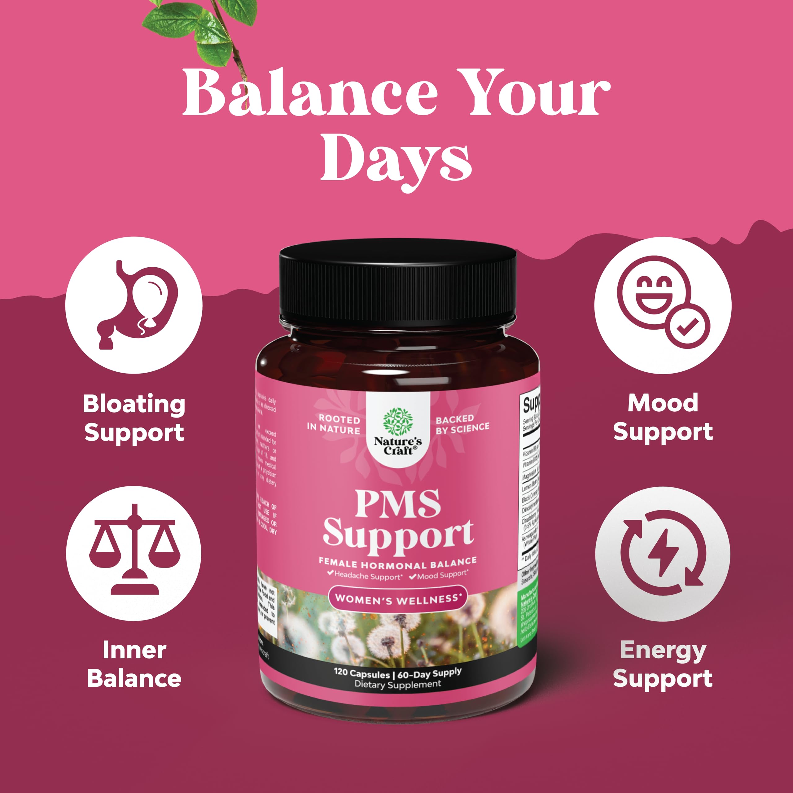 Nature's Craft PMS Support ingredients highlight chasteberry for balance.