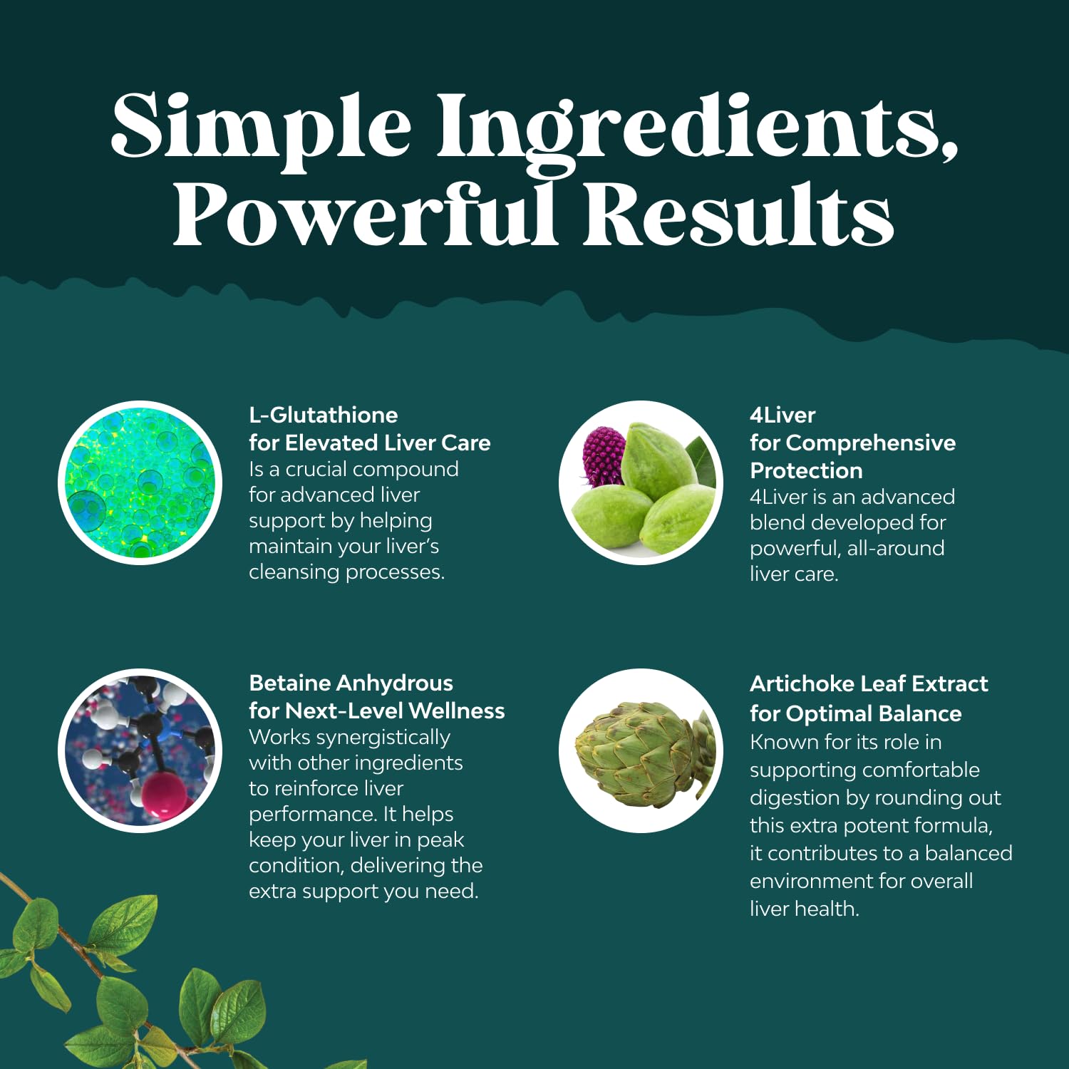 Natures Craft Pro Liver Support blend image highlights Terminalia chebula and Sphaeranthus indicus.