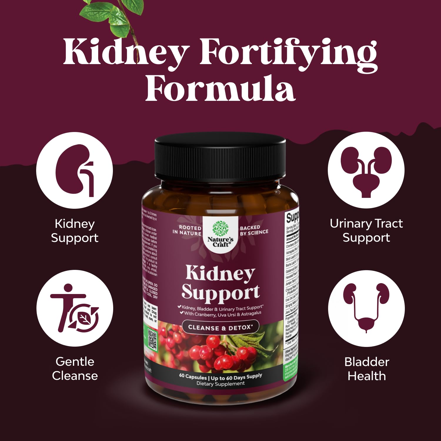 Natures Craft Kidney Cleanse Stinging Nettles image supports fluid balance.
