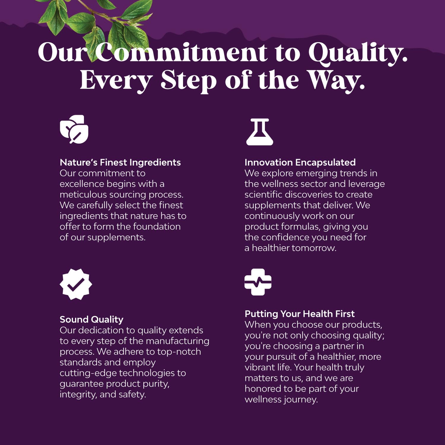 Natures Craft vitamin C boost icon beside iron gummies for better uptake.