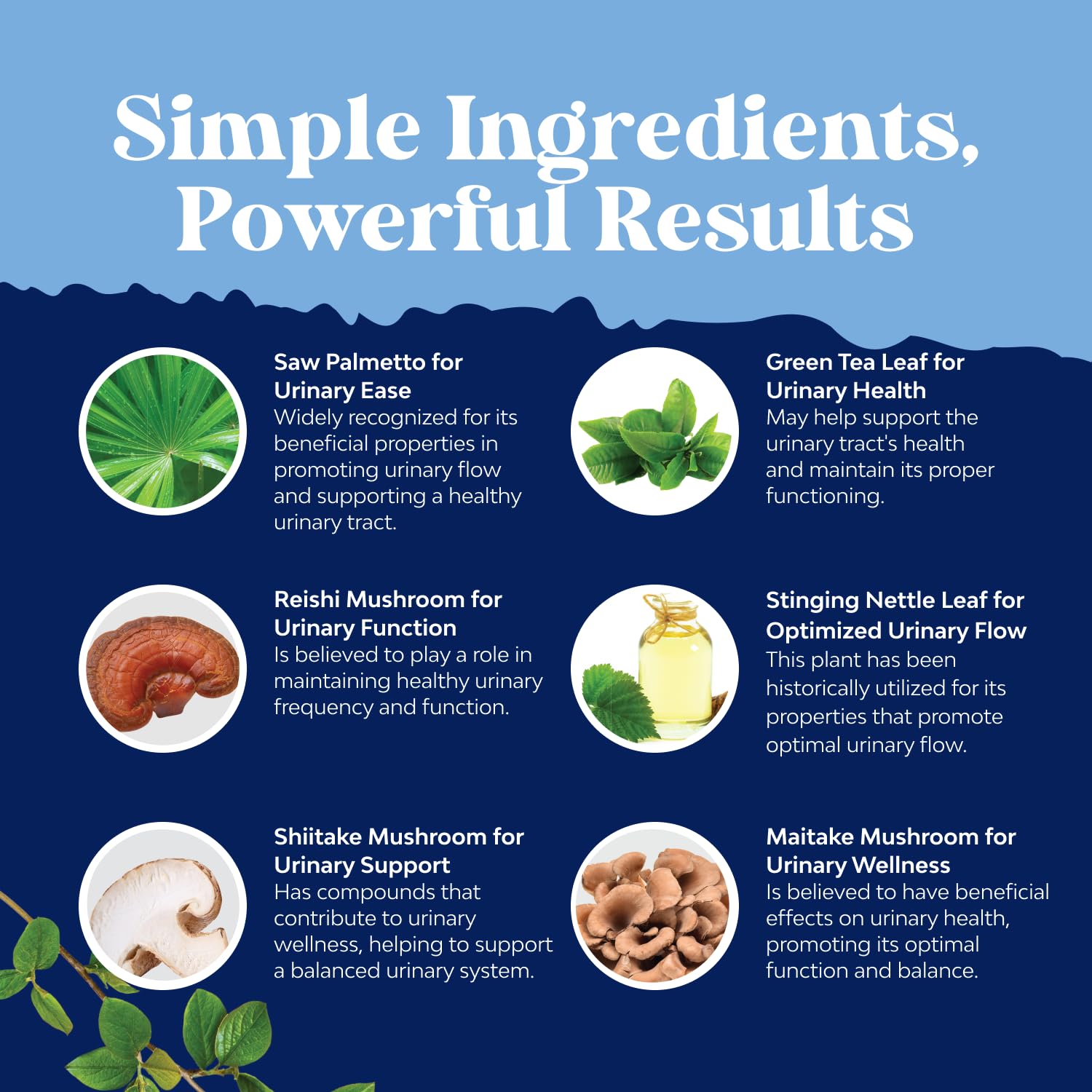 Natures Craft zinc and vitamin panel on bottle for men's health.