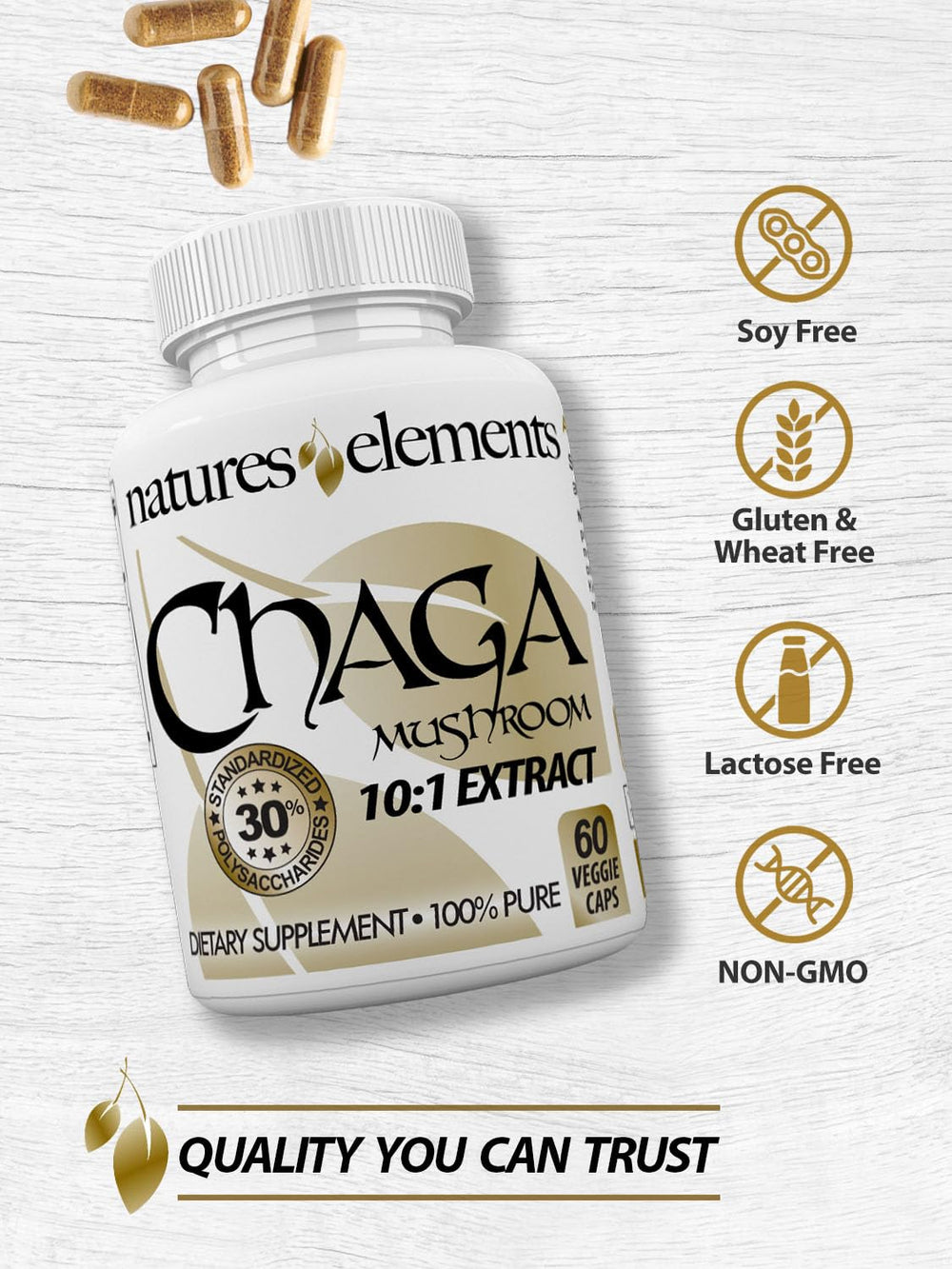 Natures Elements Chaga Mushroom bottle back label with ingredients.