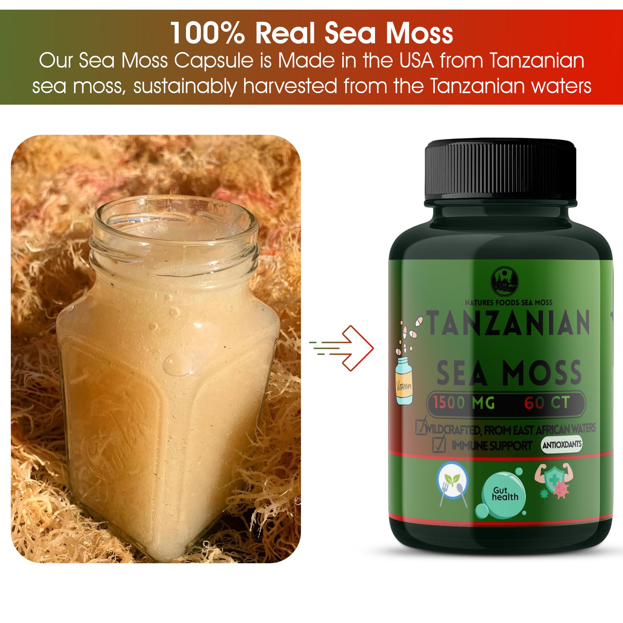 Daily routine with Natures Foods sea moss capsules for immune support