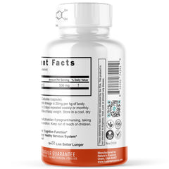 Close-up of Nutri Fisetin capsules emphasizing brain support potential.