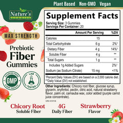 Nature's Gummies Fiber Gummies adults label highlighting soluble fiber benefits