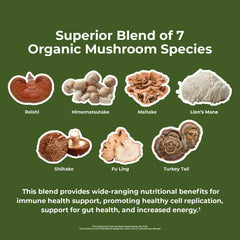 Nature's Lab Mushroom 7 Organic Blend capsules ready for daily use.