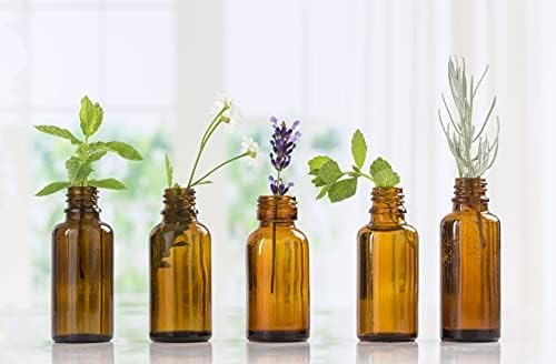Nature's Note Lilac oil diffuser application for soothing floral ambiance