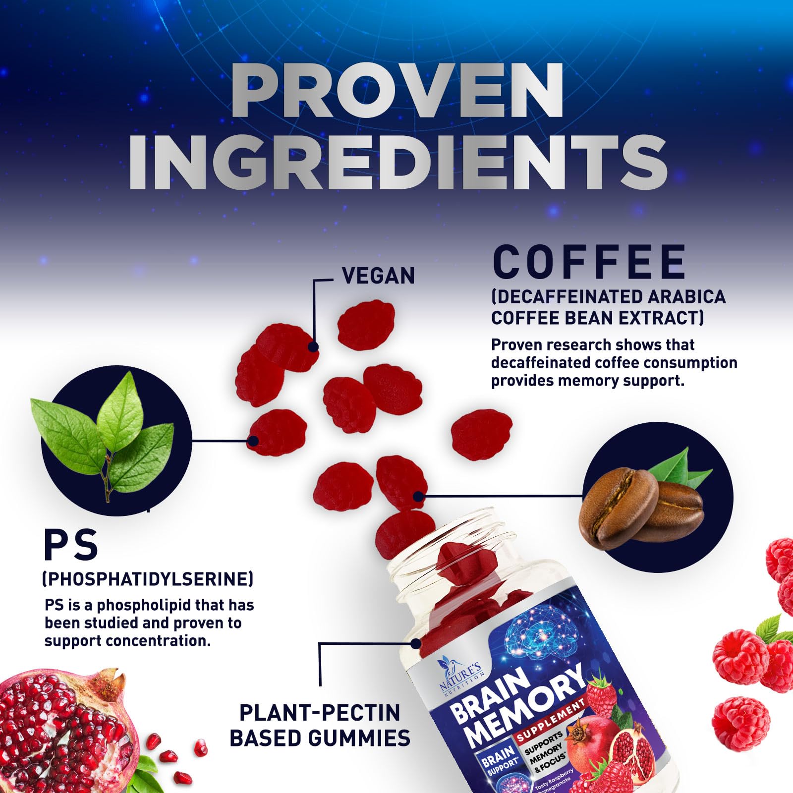 Nature's Nutrition B6 B12 boost supports energy and concentration.