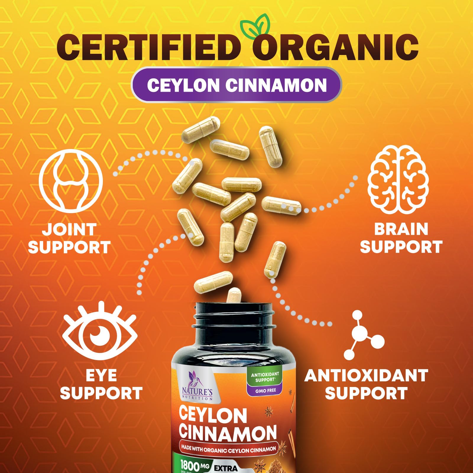 Gluten-free and non-GMO icons on Nature's Nutrition cinnamon packaging