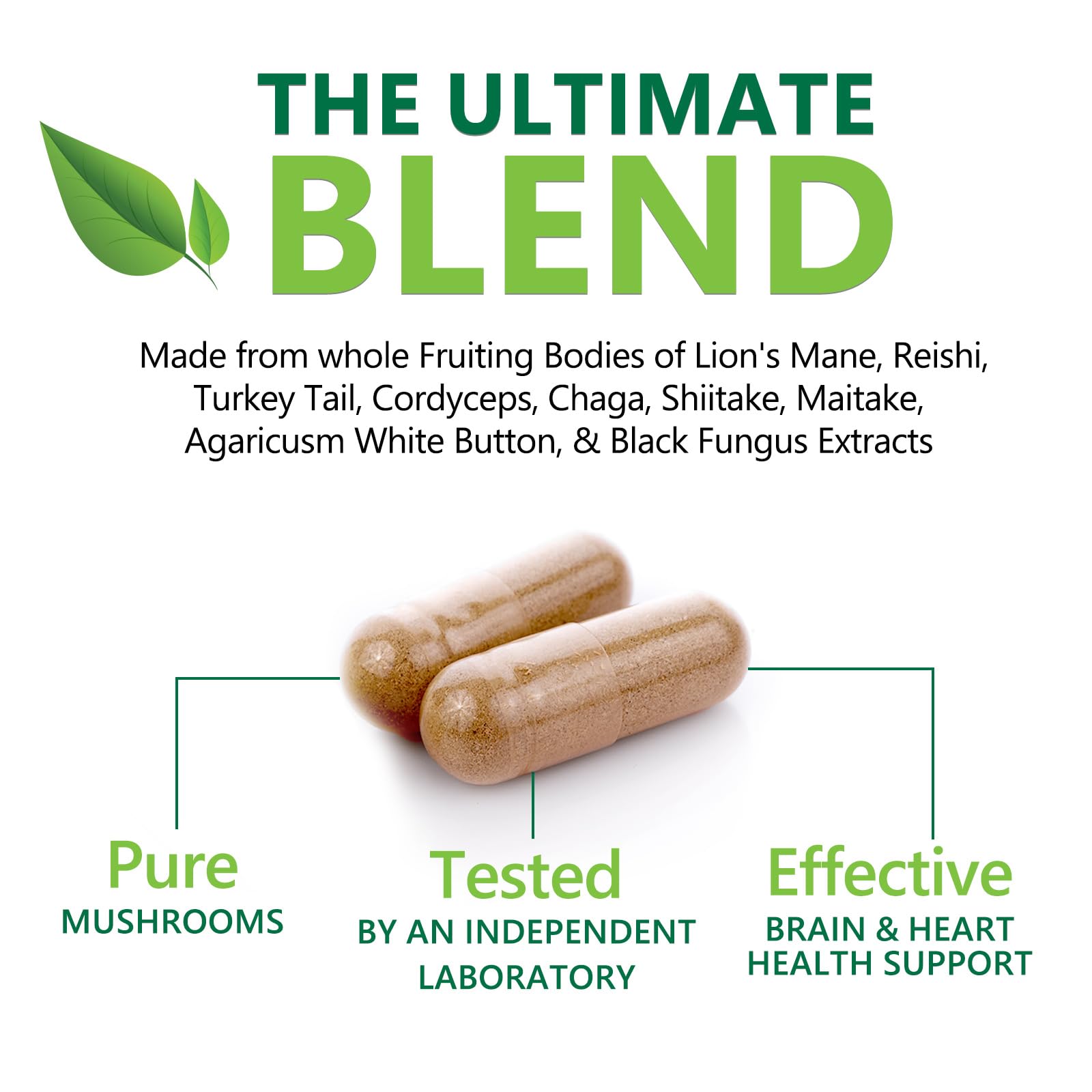 Nature's Nutrition Chaga mushroom support bottle highlighting wellness benefits